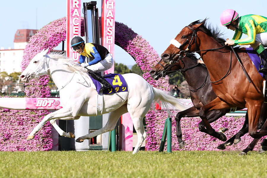 GI3勝のソダシが引退 繁殖馬へ 白毛馬として史上初のクラシック制覇